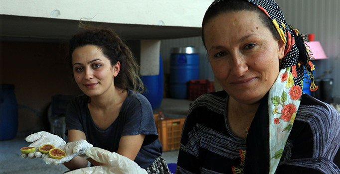 İncir cipsinin mucidi anne-kıza Cumhurbaşkanından davet