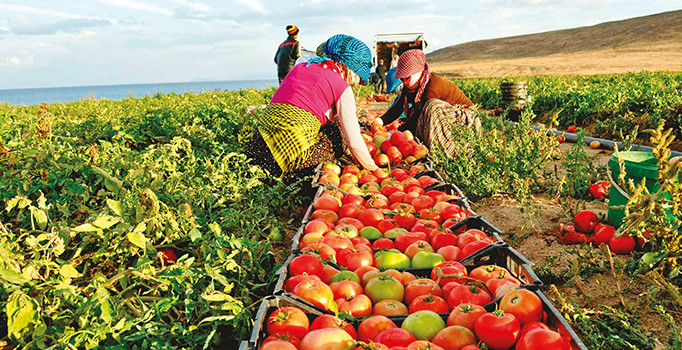 Yakında köylerde göç edecek nüfus kalmayacak