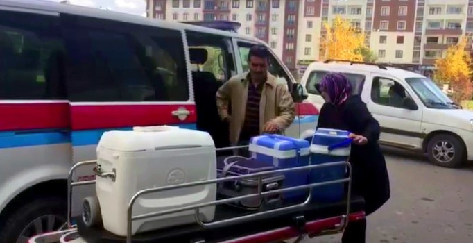 Kazada hayatını kaybeden kadının organları iki hastaya umut oldu | Erzurum haberleri