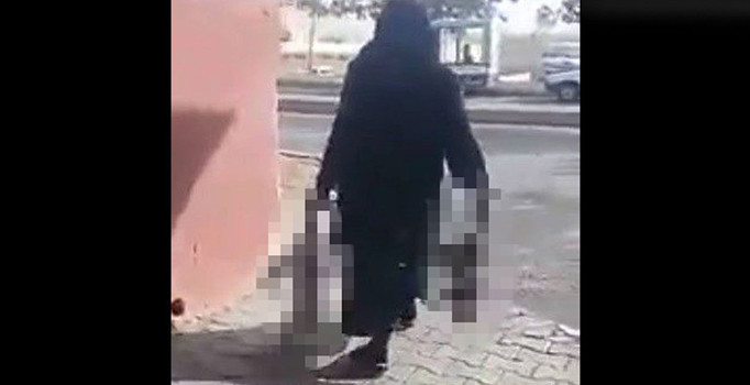 Şanlıurfa'da bir kadının zehirlediği kedileri çöpe attığı iddia edildi