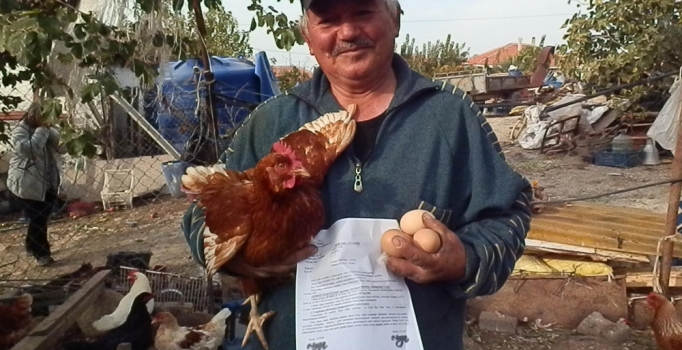 15 yumurta için 15 bin lira ceza yargıdan döndü