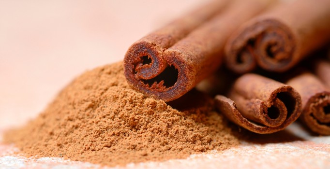 Tarçın obeziteyle savaşacak