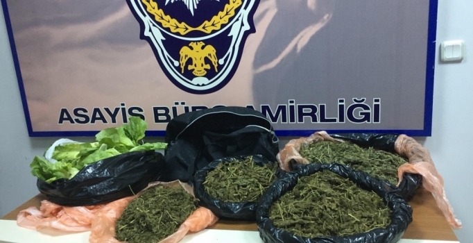Marulun içinden 3 kilo esrar çıktı | İzmir haberleri