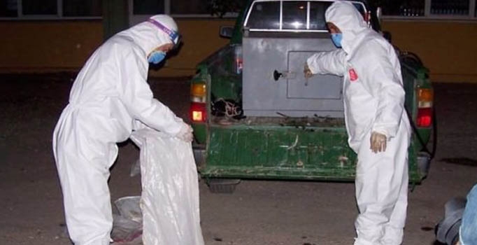 Kuş gribi virüsünden bir mahalle karantinada