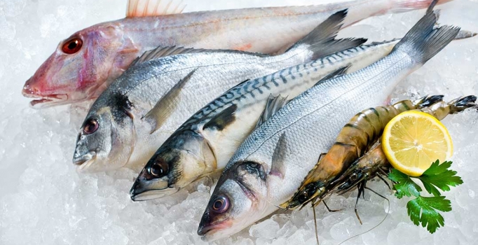 Balık fiyatları el yakıyor