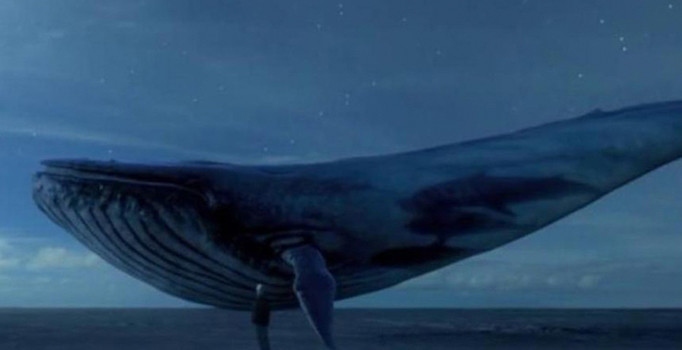 Wikipedia yasak intihar oyunu serbest!