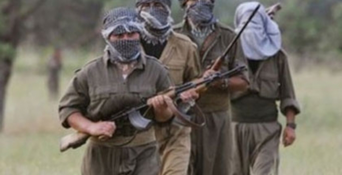 Son dakika! Şırnak'ta 2 terörist etkisiz hale getirildi