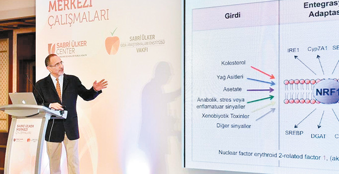 Hücrede gizli savaşçı gün yüzüne çıktı