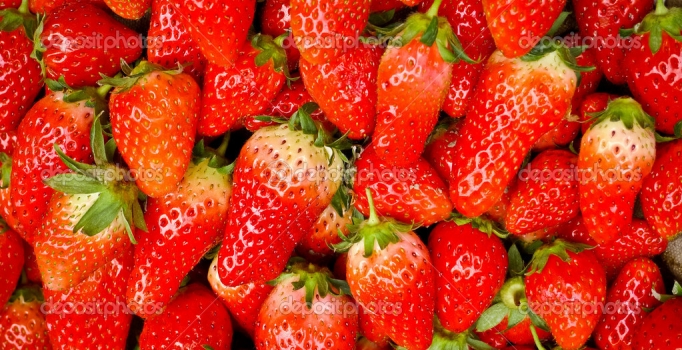 Çileğin şekli hormondan 
değil, havadan değişti