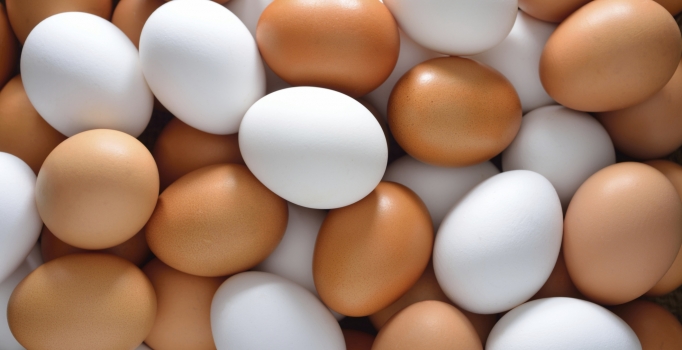 Kireçlenmeye karşı mucize tedavi; yumurta kabuğu zarı