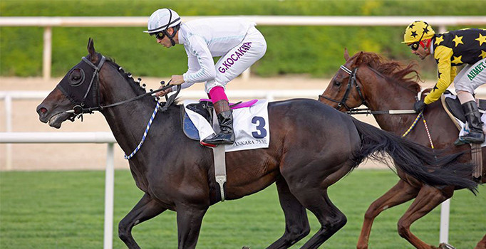 Reza Zarrab'ın atı 'Dayım Beyim' devlete kaldı