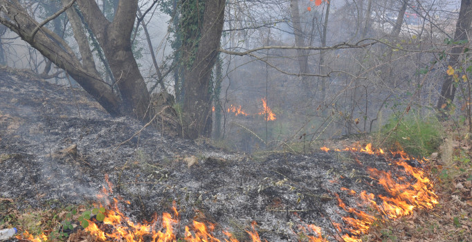 Bursa İnegöl’de 10 dönümlük orman yandı