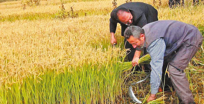 Yüzde 12 ile enflasyonda zirveyi gördük