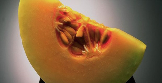 Listeria salgını 36 kişinin ölümüne yol açtı