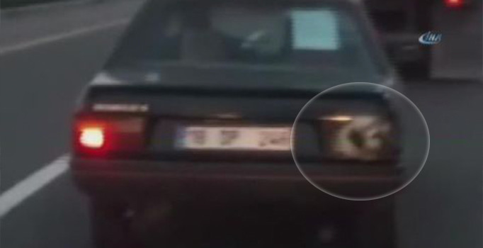 Başkent'te hayrete düşüren görüntü