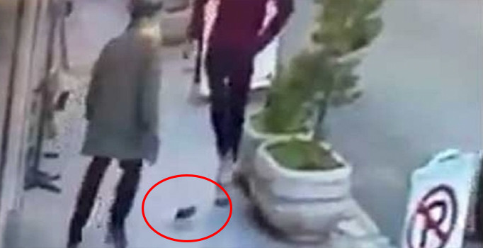 'Fareyi tekmeyle kovalayan dede’ videosu izlenme rekoru kırıyor