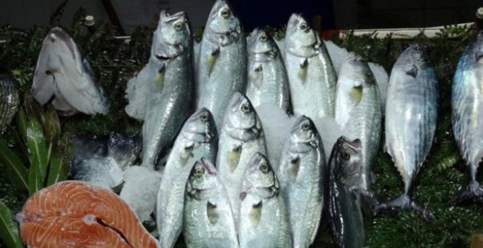 Lüfer, gram altınla yarışıyor