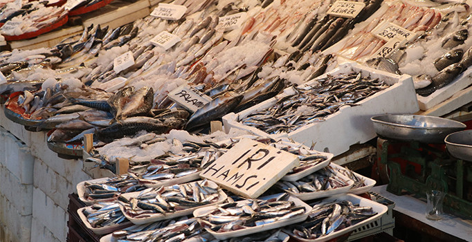 Havalar soğudu, balık fiyatları iki kat arttı