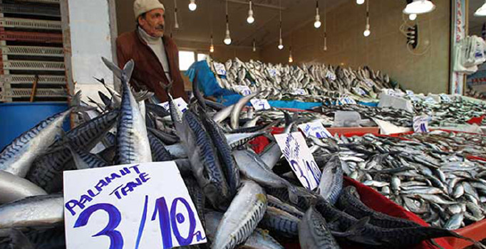 Balık fiyatları el yakıyor