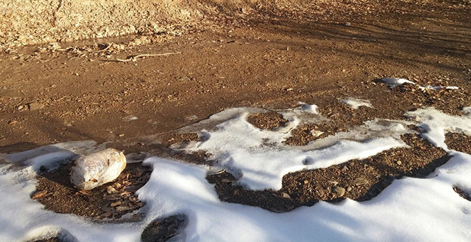 Bitlis'te 3 adet EYP imha edildi