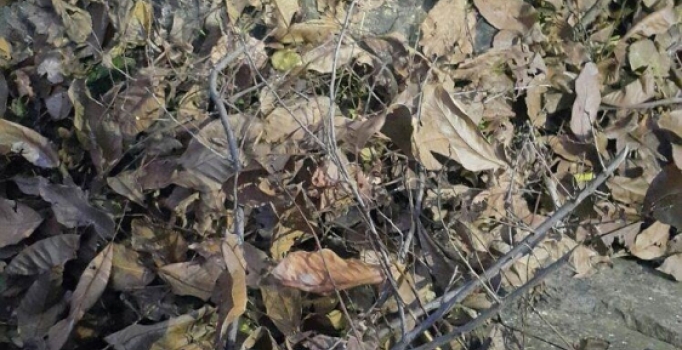 Çukurca'da bulunan PKK patlayıcısı imha edildi