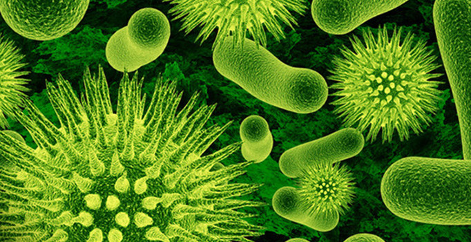 Doğrusunu öğrenerek mikroplardan korun