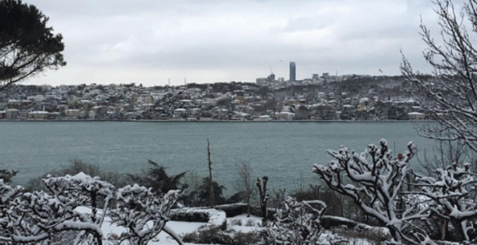 Kalp krizi geçiren Mustafa Koç'un İnstagram'da paylaştığı son fotoğraf