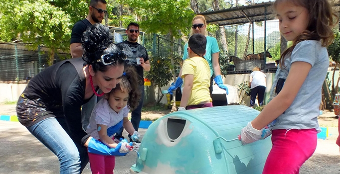 Hayvan barınaklarını rengarenk boyadılar