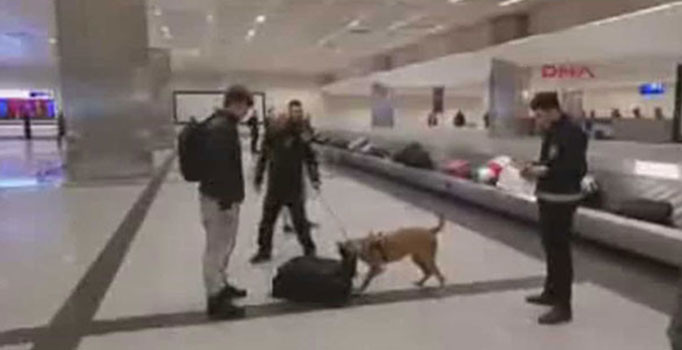 Türkiye'den köpekli aramaya misilleme