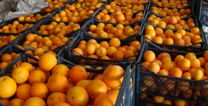 Rusya'dan Türk portakalına vergi