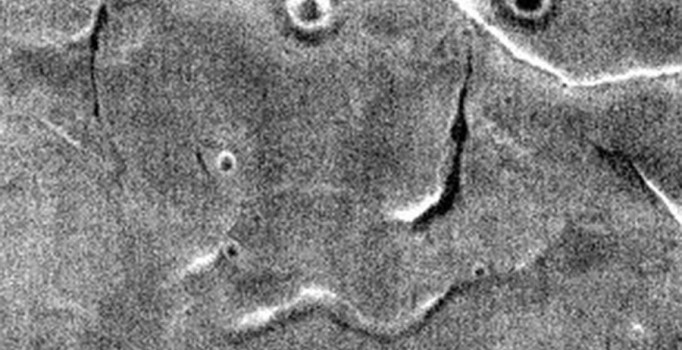 NASA Mars'ın 'vesikalık' fotoğrafı yayınlandı