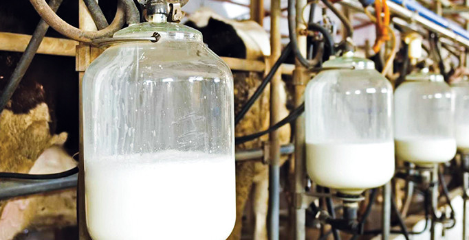 Gıda ve trafikte yeni dönem başladı