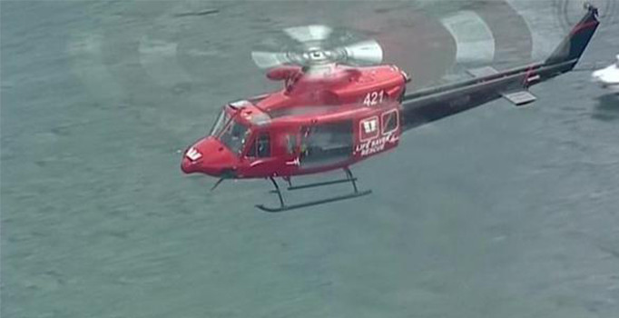 Compass Group'un CEO'su ve ailesi uçak kazasında öldü