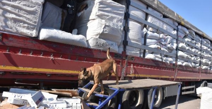Ocak ayında 59 bin paket kaçak sigara ele geçirildi