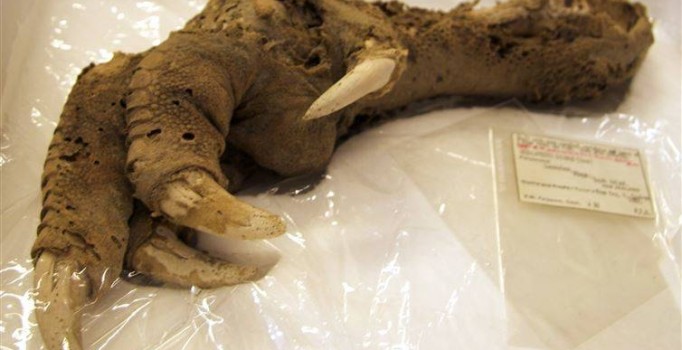 Bilim bu keşifleri açıklayamıyor