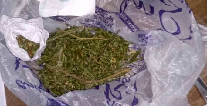 FETÖ'cü astsubayın evinden uyuşturucu tarlası çıktı