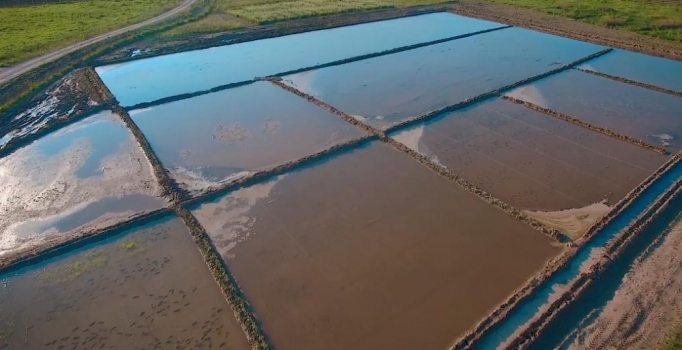 Nisan'a kadar yağmazsa kuraklık kapıda