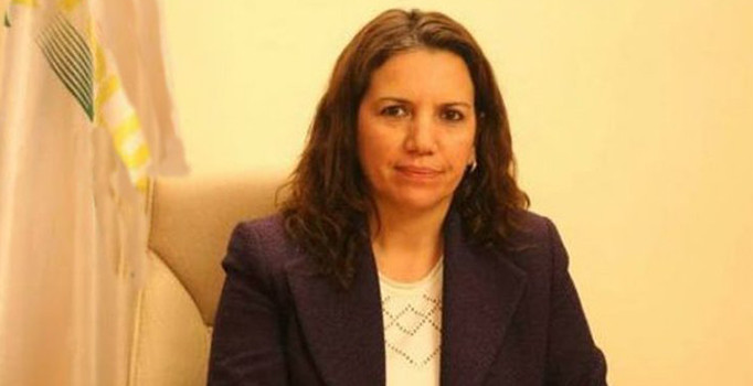 HDP'li Irmak'a 1 yıl hapis cezası 