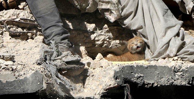 Esad rejimin Halep'teki saldırılarında 500 kişi öldü