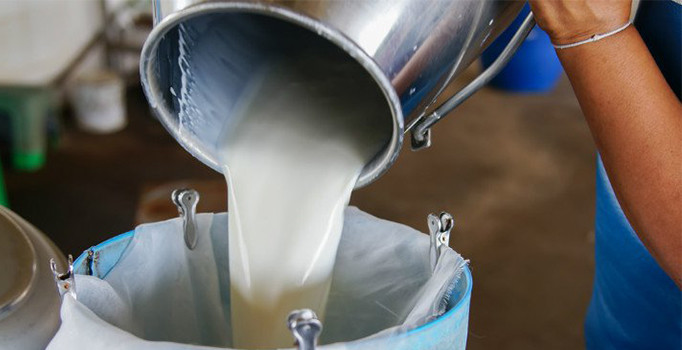 Çiğ süt fiyatları üreticiyi sevindirdi