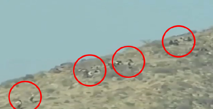 Zeytin Dalı Harekatı'nda teröristler böyle vuruldu | Video