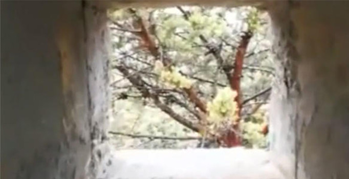 Abdullah Ağar Afrin'deki şifreleri anlattı: ABD icat etti, teröristler Afrin'de kullanıyor