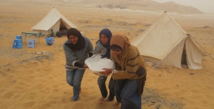 Afrika'da yeni bir dinozor türü keşfedildi