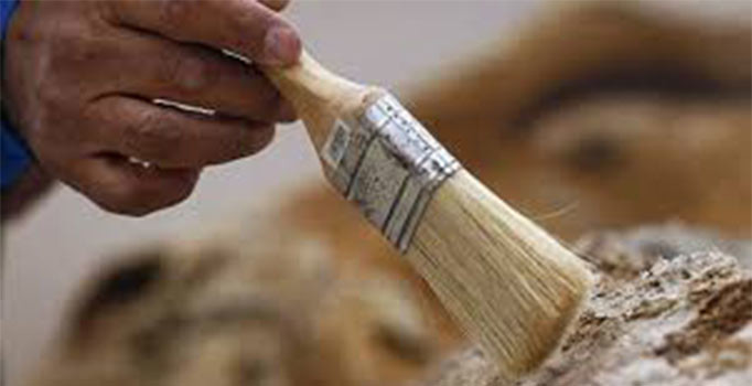 Hollanda'da 6 bin yıllık bebek kemikleri bulundu