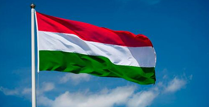 Macaristan'dan sığınmacı açıklaması