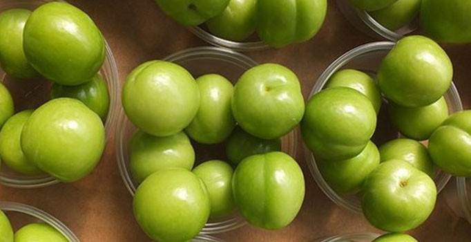 Şili'den tanesi 10 liraya erik