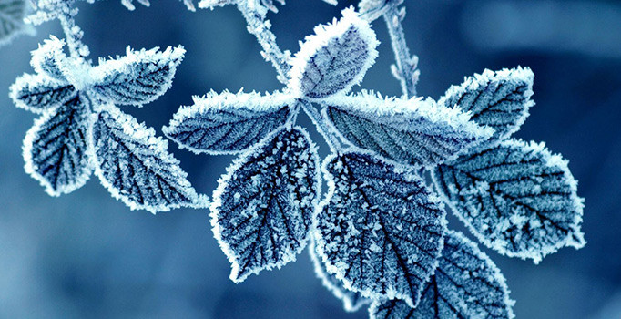 Meteoroloji'den 7 ile don uyarısı