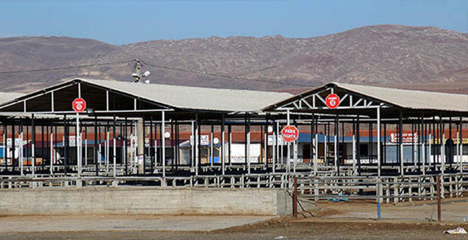 Karantinada olan canlı hayvan pazarı tekrar açılıyor