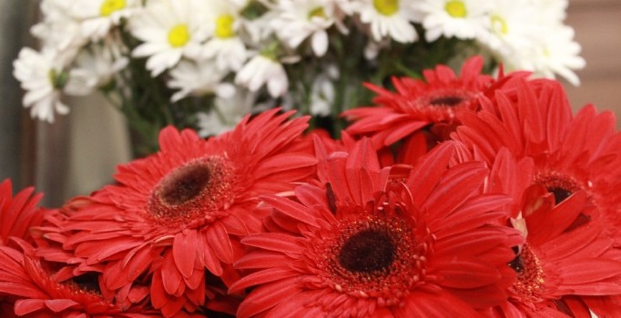 Çiçekçiler Sevgililer Günü’ne hazır