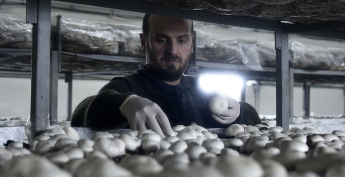 Gümüşhaneli genç işsizken patron oldu